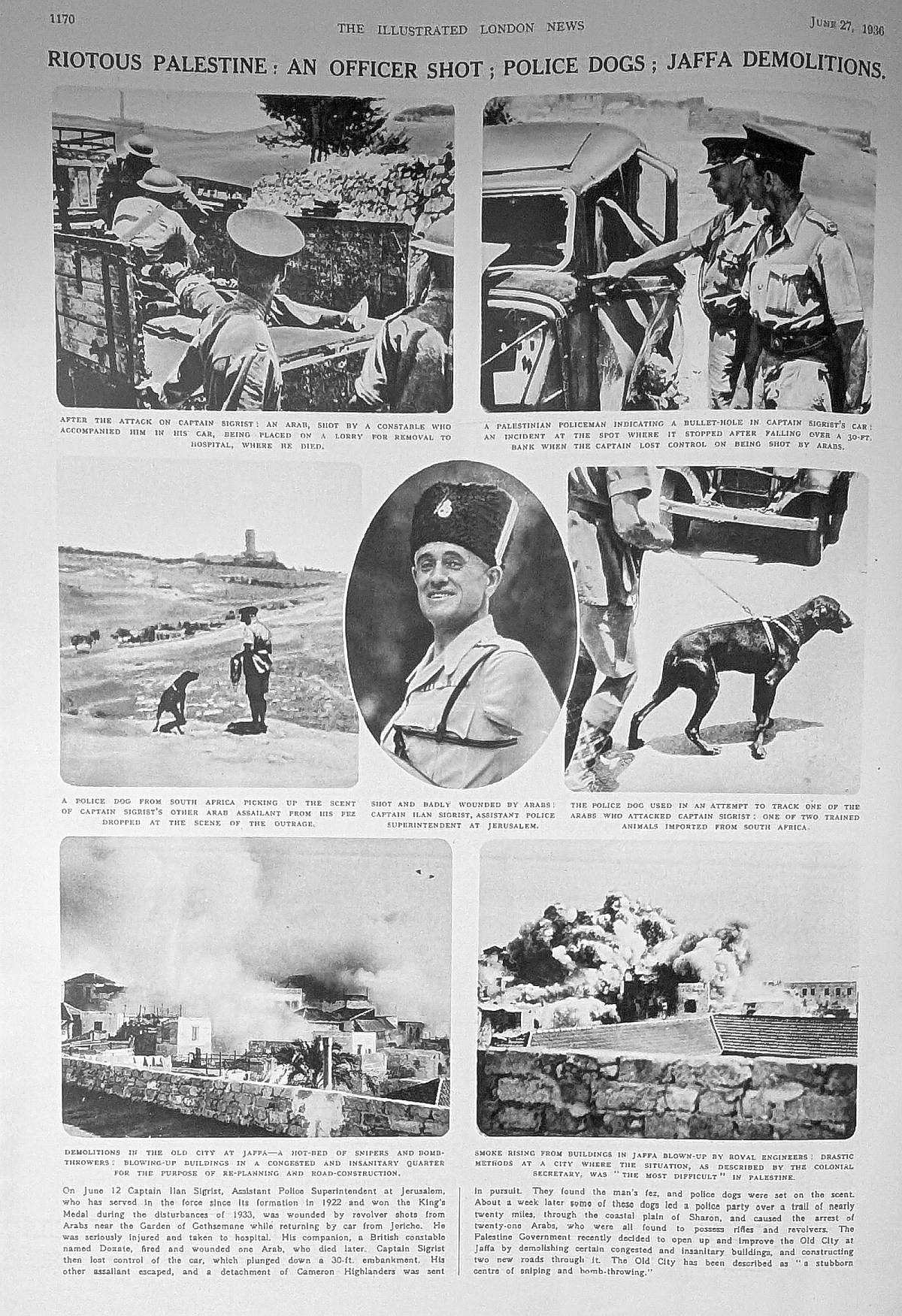 June 27 police dogs